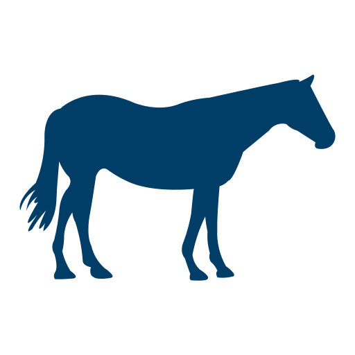 Cavalli